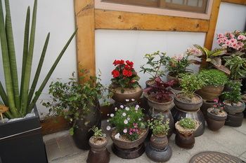 Hotel Dowonjeong Healing House Seoul