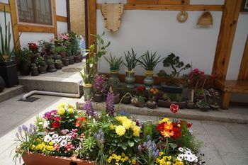 Dowonjeong Healing House Seoul